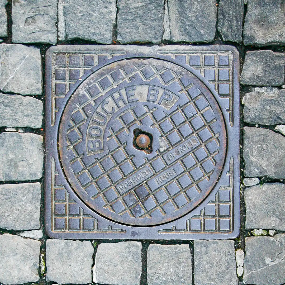 Manhole Cover in Geneva, Switzerland. Photo by Yuri Matrosovich