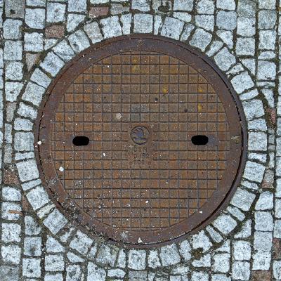 Škoda Auto Logo Manhole Cover