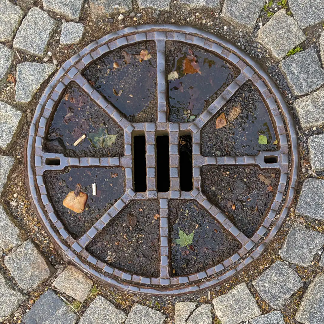Manhole Cover in Karlovy Vary, Czech Republic. Photo by Yuri Matrosovich