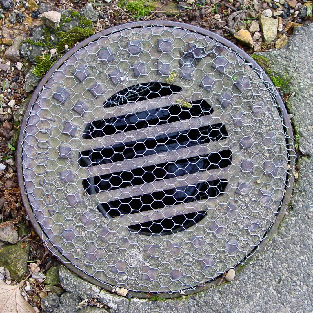 Drainage Manhole Cover in Heidelberg, Germany. Photo by Yuri Matrosovich