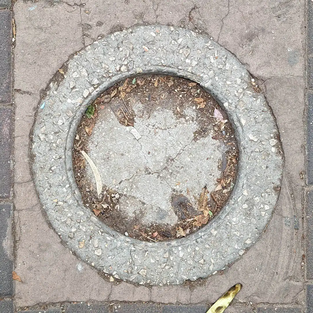 Manhole Cover in Haifa, Israel. Photo by Yuri Matrosovich