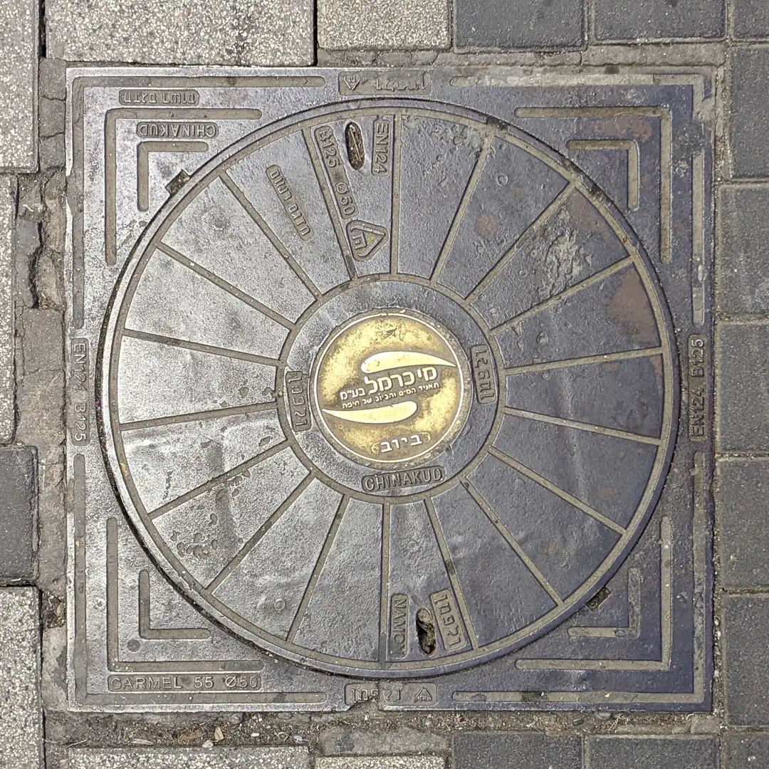 Water Manhole Cover by Wolfman in Haifa, Israel. Photo by Yuri Matrosovich