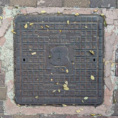 Bezeq Manhole Cover