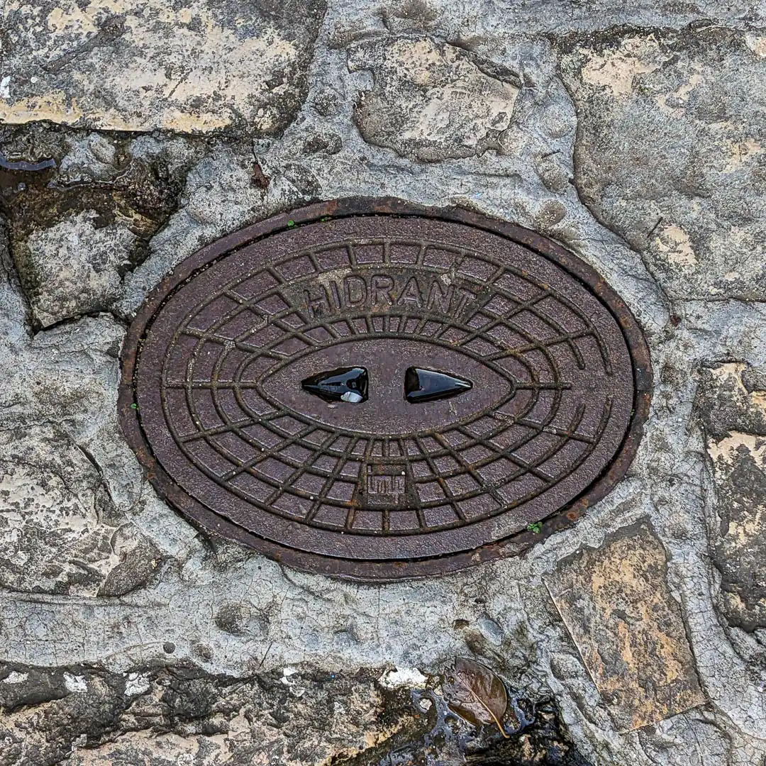 Hydrant Manhole Cover in Budva, Montenegro. Photo by Denis Panin