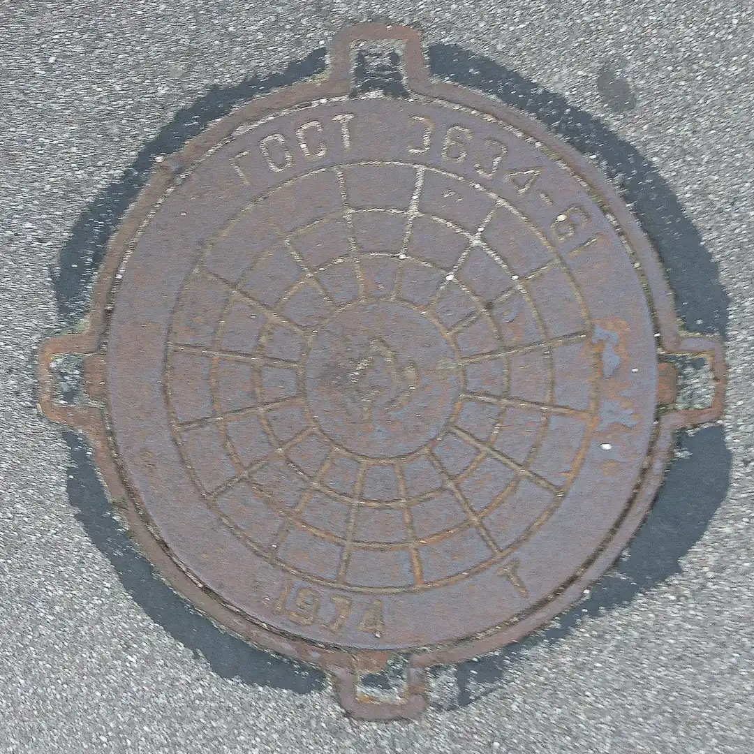 Manhole Cover in Kaliningrad, Russia. Photo by Yuri Matrosovich
