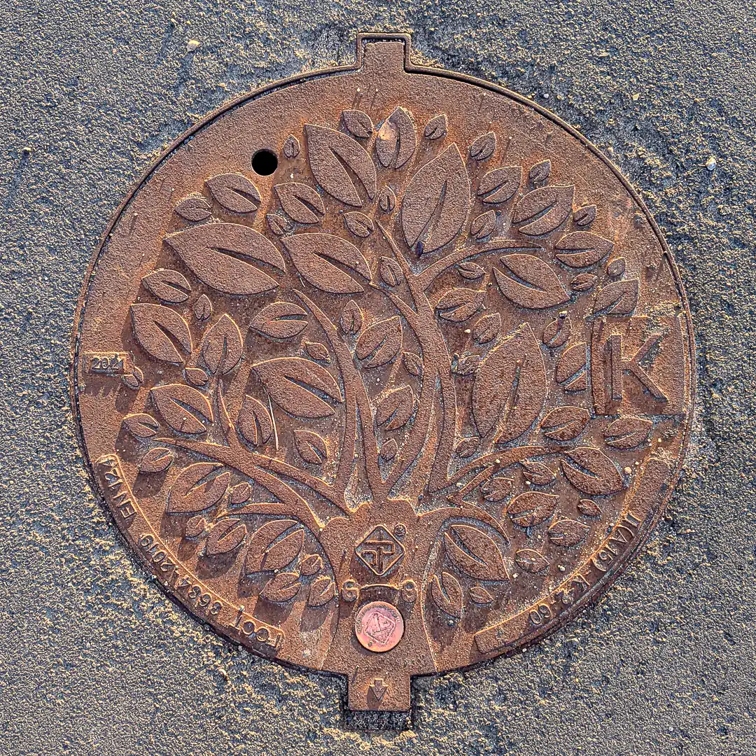 Sewerage Manhole Cover with Floral Pattern in Saint Petersburg, Russia. Photo by Yuri Matrosovich