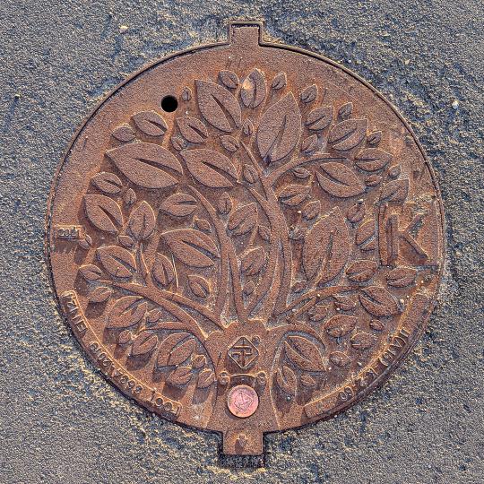 Sewage Manhole Cover with Floral Pattern